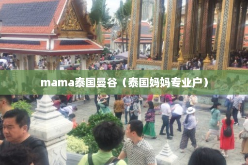 mama泰国曼谷（泰国妈妈专业户）  第1张