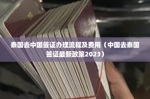 泰国去中国签证办理流程及费用（中国去泰国签证最新政策2023）  第1张