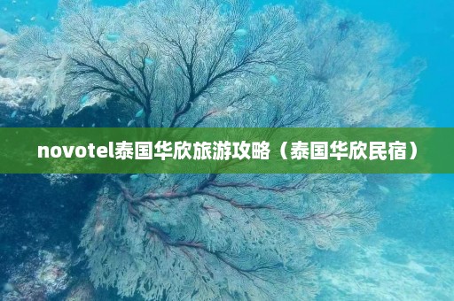 novotel泰国华欣旅游攻略（泰国华欣民宿）