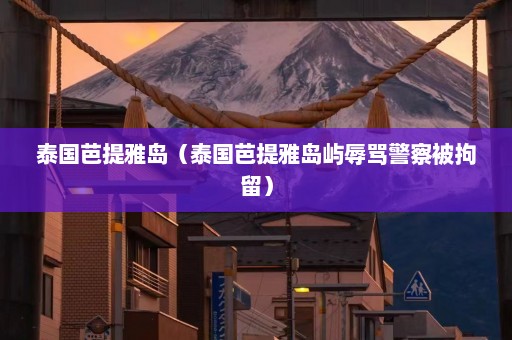 泰国芭提雅岛（泰国芭提雅岛屿辱骂警察被拘留）