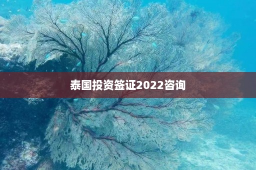 泰国投资签证2022咨询