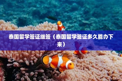 泰国留学签证继签（泰国留学签证多久能办下来）