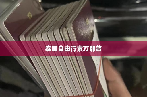 泰国自由行素万那普  第1张