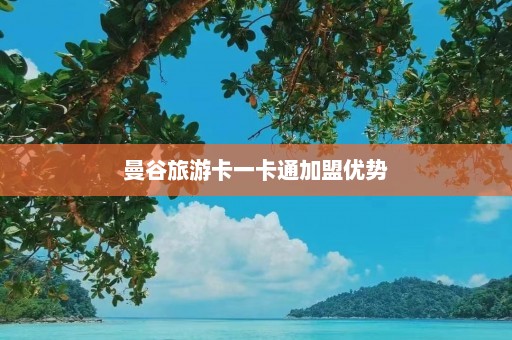 曼谷旅游卡一卡通加盟优势