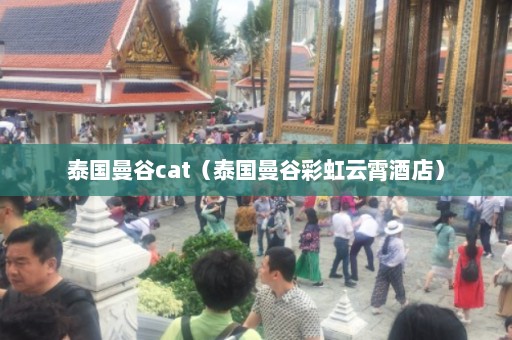 泰国曼谷cat（泰国曼谷彩虹云霄酒店）  第1张