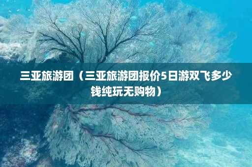 三亚旅游团（三亚旅游团报价5日游双飞多少钱纯玩无购物）