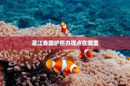 湛江泰国护照办理点在哪里