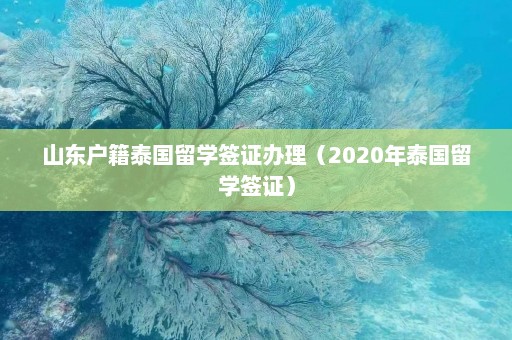 山东户籍泰国留学签证办理（2020年泰国留学签证）