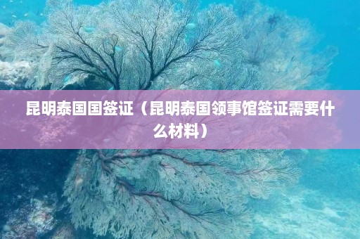 昆明泰国国签证（昆明泰国领事馆签证需要什么材料）