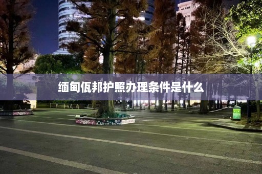 缅甸佤邦护照办理条件是什么