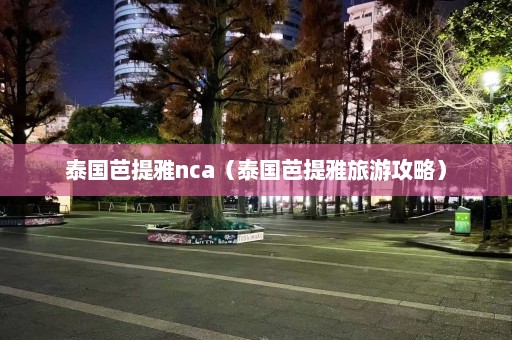 泰国芭提雅nca（泰国芭提雅旅游攻略）