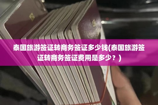 泰国旅游签证转商务签证多少钱(泰国旅游签证转商务签证费用是多少？)  第1张