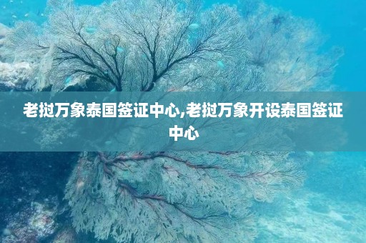 老挝万象泰国签证中心,老挝万象开设泰国签证中心  第1张