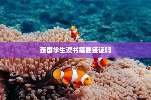 泰国学生读书需要签证吗