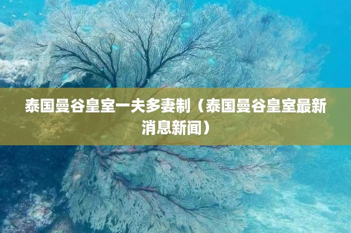 泰国曼谷皇室一夫多妻制（泰国曼谷皇室最新消息新闻）