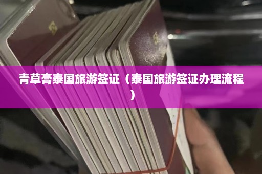 青草膏泰国旅游签证（泰国旅游签证办理流程）  第1张