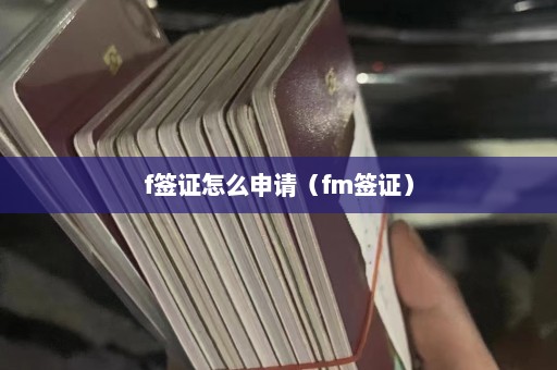 f签证怎么申请（fm签证）  第1张