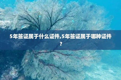 5年签证属于什么证件,5年签证属于哪种证件？