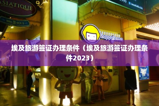 埃及旅游签证办理条件（埃及旅游签证办理条件2023）  第1张