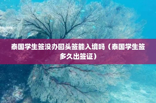 泰国学生签没办回头签能入境吗（泰国学生签多久出签证）