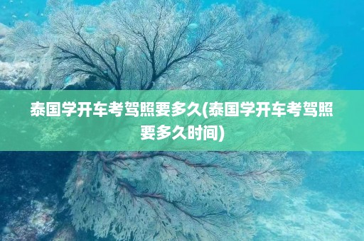 泰国学开车考驾照要多久(泰国学开车考驾照要多久时间)