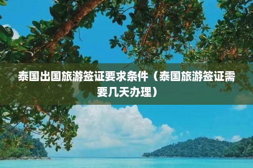 泰国出国旅游签证要求条件（泰国旅游签证需要几天办理）