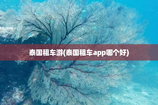 泰国租车游(泰国租车app哪个好)