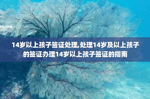 14岁以上孩子签证处理,处理14岁及以上孩子的签证办理14岁以上孩子签证的指南