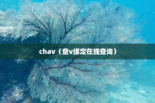 chav（查v绑定在线查询）