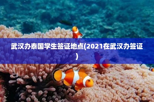 武汉办泰国学生签证地点(2021在武汉办签证)