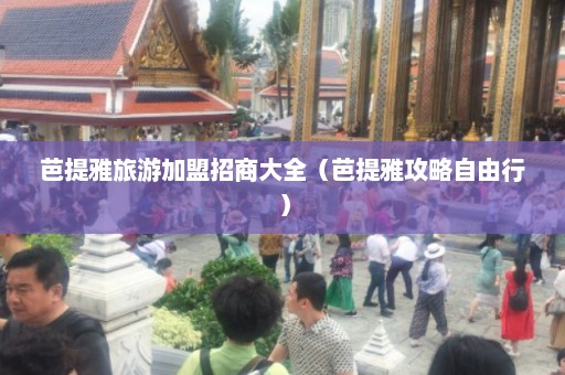 芭提雅旅游加盟招商大全（芭提雅攻略自由行）  第1张