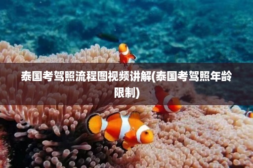 泰国考驾照流程图视频讲解(泰国考驾照年龄限制)