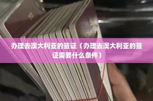 办理去澳大利亚的签证（办理去澳大利亚的签证需要什么条件）  第1张