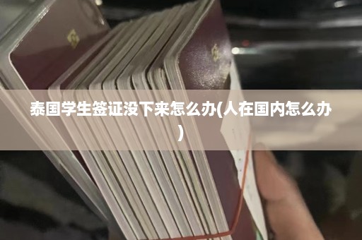 泰国学生签证没下来怎么办(人在国内怎么办)  第1张