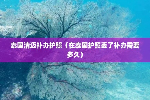 泰国清迈补办护照（在泰国护照丢了补办需要多久）  第1张