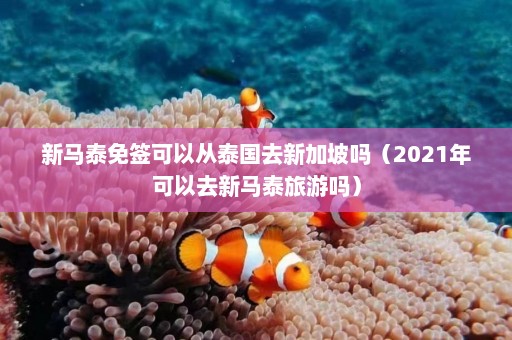 新马泰免签可以从泰国去新加坡吗（2021年可以去新马泰旅游吗）