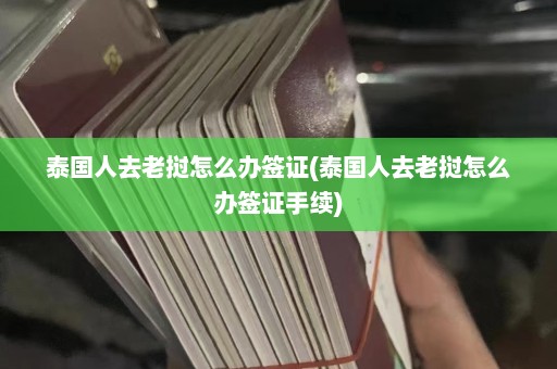 泰国人去老挝怎么办签证(泰国人去老挝怎么办签证手续)  第1张