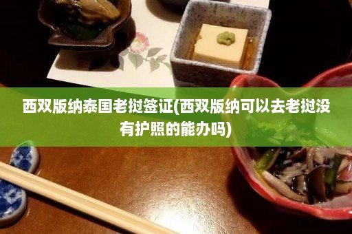 西双版纳泰国老挝签证(西双版纳可以去老挝没有护照的能办吗)