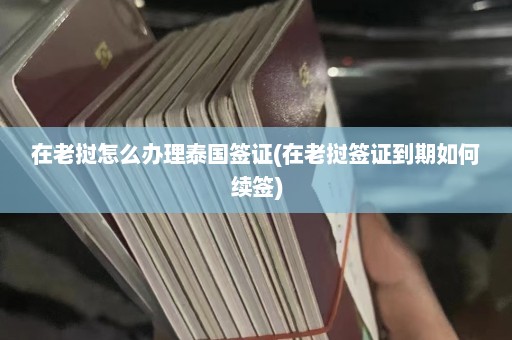 在老挝怎么办理泰国签证(在老挝签证到期如何续签)  第1张