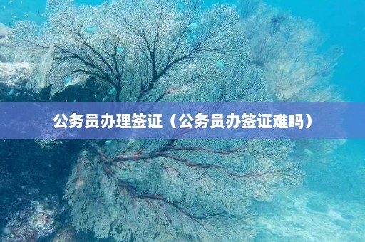 公务员办理签证（公务员办签证难吗）