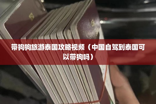 带狗狗旅游泰国攻略视频（中国自驾到泰国可以带狗吗）