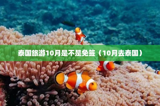 泰国旅游10月是不是免签（10月去泰国）