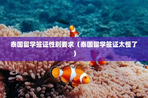 泰国留学签证性别要求（泰国留学签证太慢了）