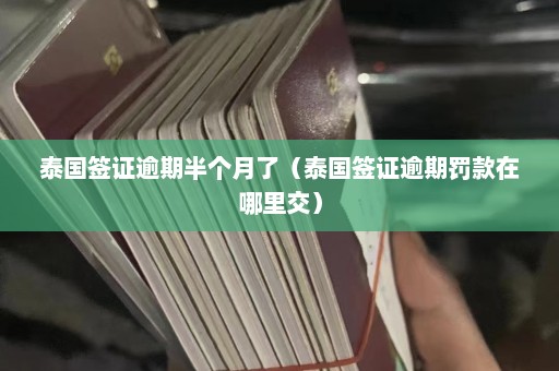 泰国签证逾期半个月了（泰国签证逾期罚款在哪里交）  第1张