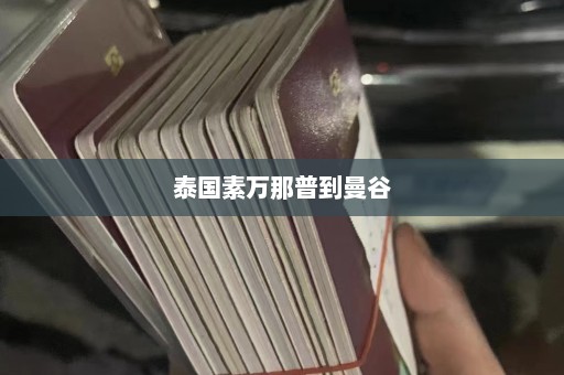 泰国素万那普到曼谷  第1张