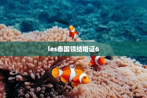 les泰国领结婚证6