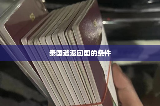 泰国遣返回国的条件  第1张