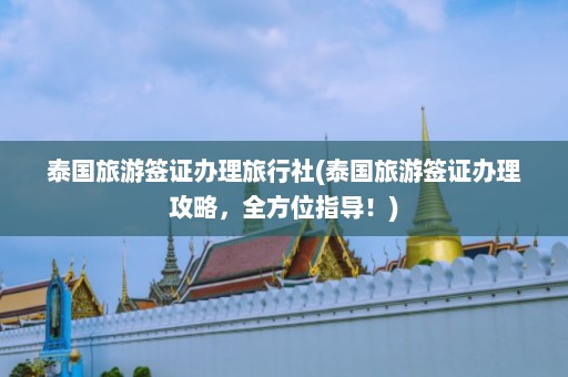 泰国旅游签证办理旅行社(泰国旅游签证办理攻略，全方位指导！)  第1张