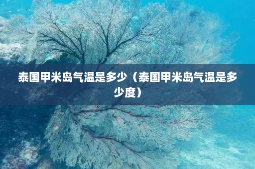 泰国甲米岛气温是多少（泰国甲米岛气温是多少度）