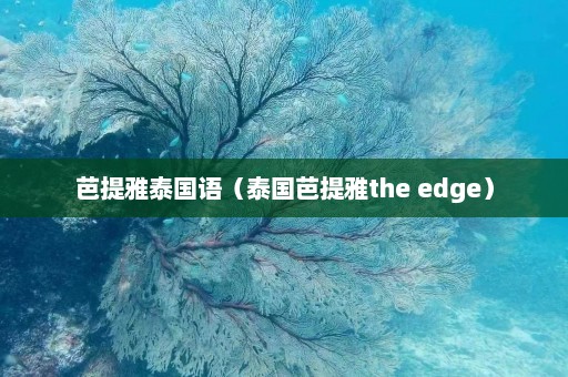 芭提雅泰国语（泰国芭提雅the edge）